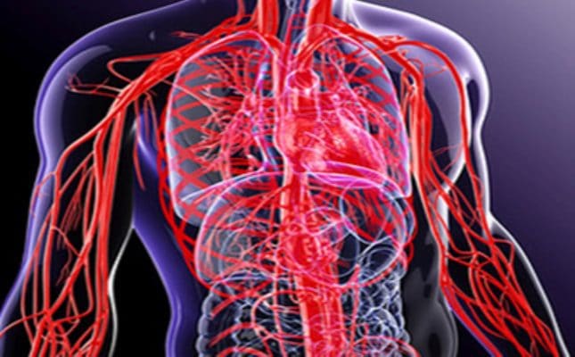 تحريک، تقويت و افزايش جريان خون و در نتيجه: