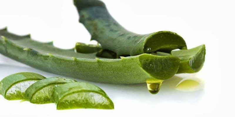 ماساژ آلوئه ورا